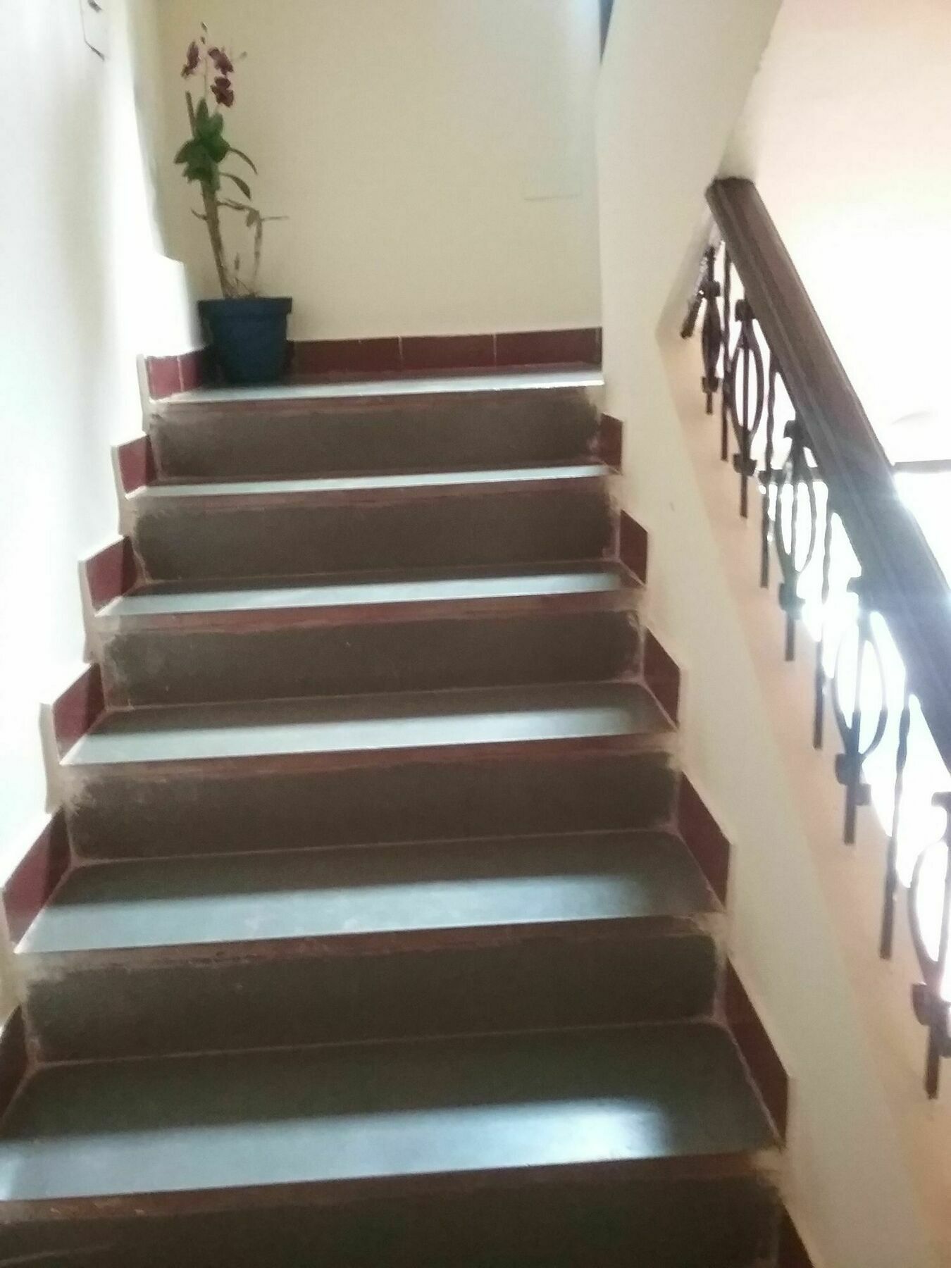 Saligao Hotel Baga Villa Bnb מראה חיצוני תמונה